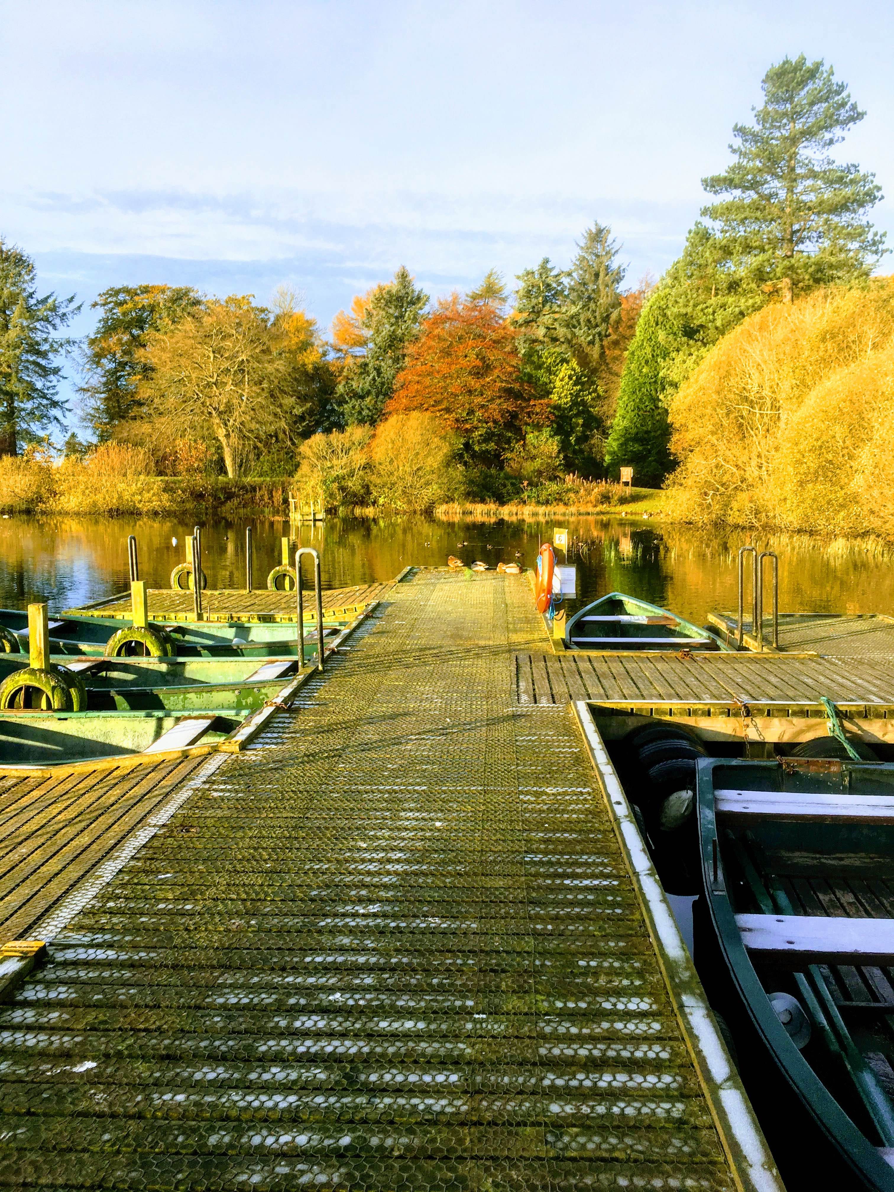 Autumn at the Island Pond.